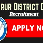 Sangrur Court Peon Recruitment 2025 Process Server 17 Posts